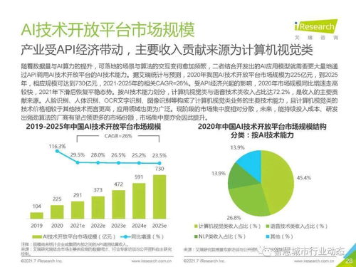 中國人工智能基礎層行業報告2021 人工智能基礎軟件開發